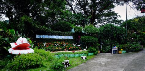 la union botanical and zoological garden|LA UNION BOTANICAL GARDEN .